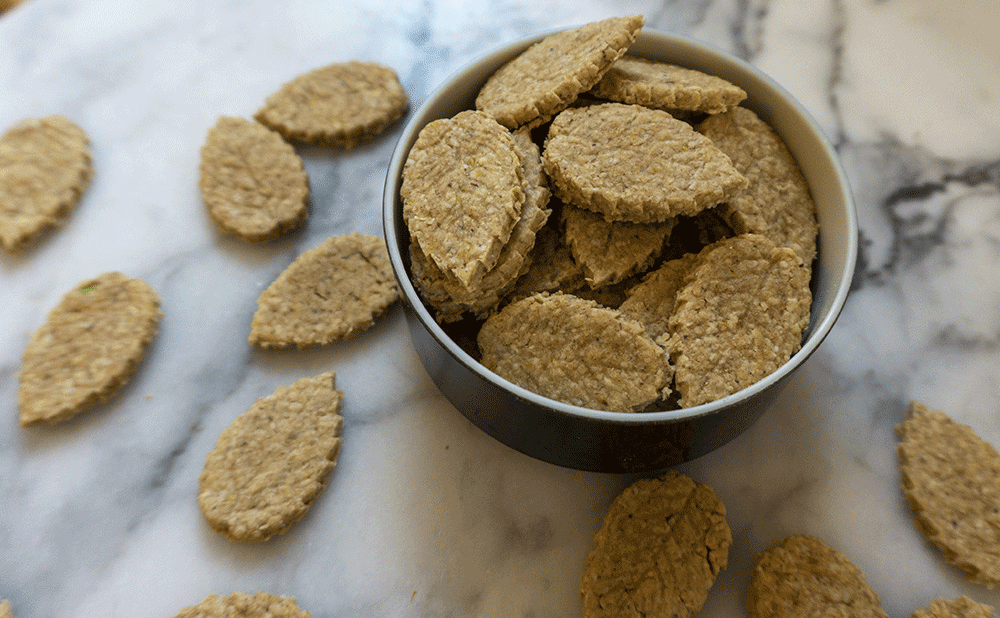 Biscuits à l'avoine pour chien